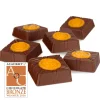 Peanut Butter Chocolate Selector<Hotel Chocolat Hot