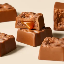 Salted Caramel Brownie Selector<Hotel Chocolat