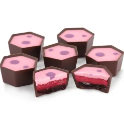 Triple Blackcurrant Chocolate Selector<Hotel Chocolat Clearance